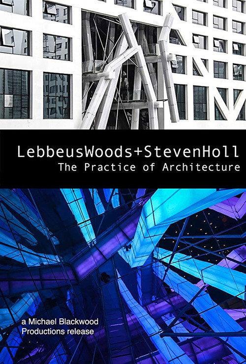Lebbeus Woods + Steven Holl: The Practice of Architecture 2012 official movie poster