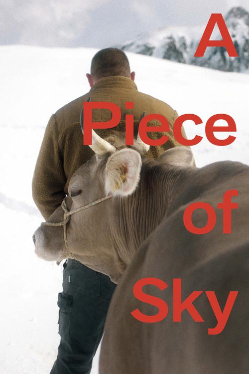 A Piece of Sky 2022 official movie poster