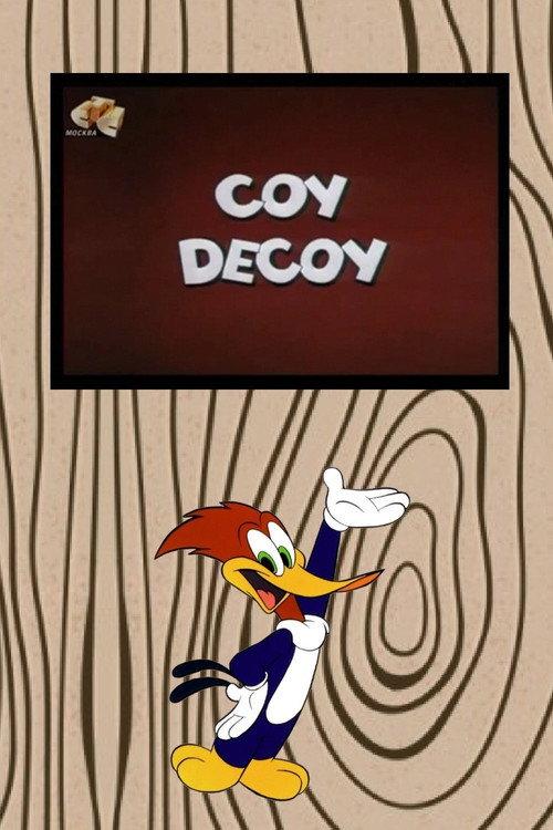 Coy Decoy 1963 official movie poster
