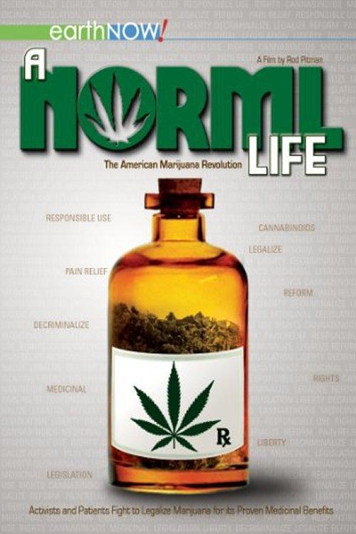 A Norml Life 2011 official movie poster