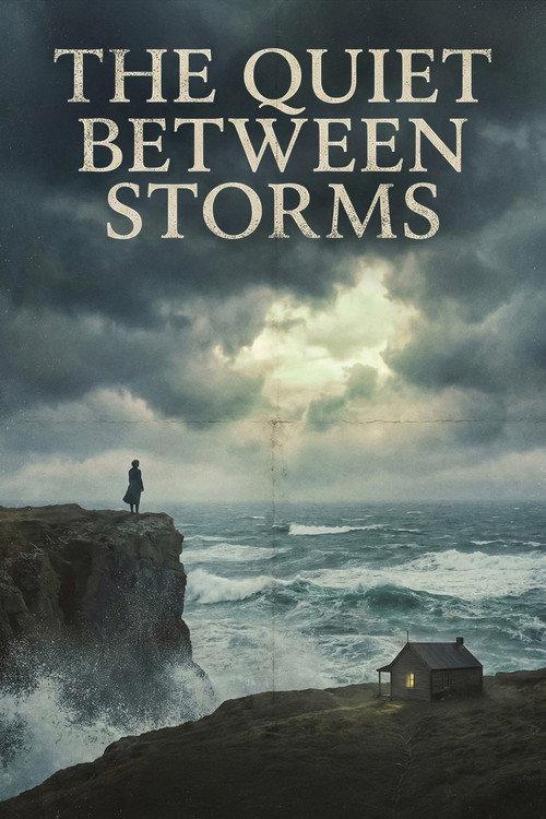 The Quiet Between Storms 2026 official movie poster