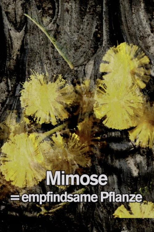 Mimosa Tank: A Prologue for a Film 2017 official movie poster