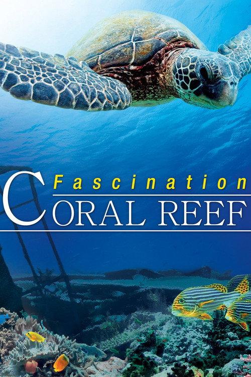 Fascination Coral Reef 2011 official movie poster