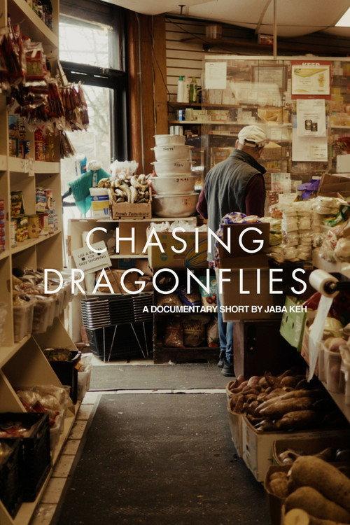 Chasing Dragonflies 2026 official movie poster