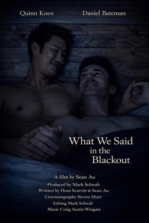 What We Said in the Blackout 2025 official movie poster