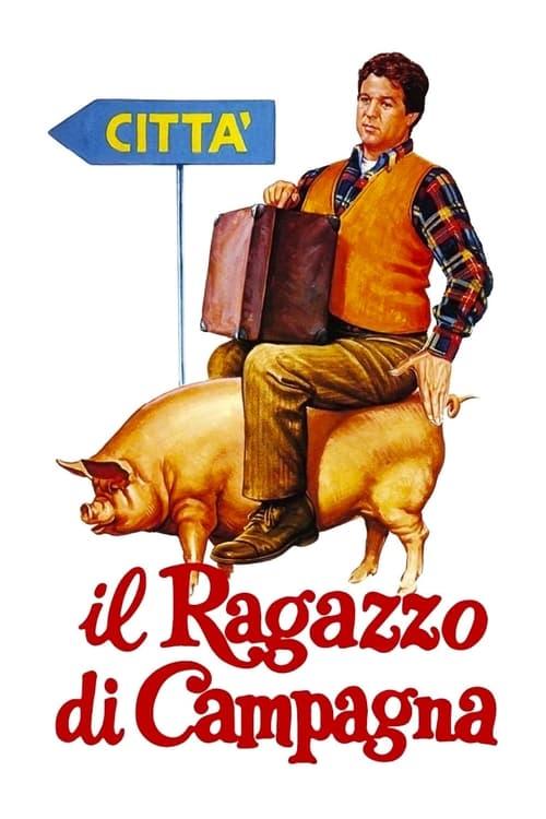 The Country Boy 1984 official movie poster