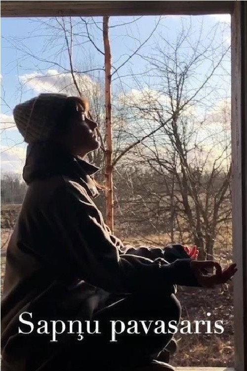 The Dream Spring 2020 official movie poster