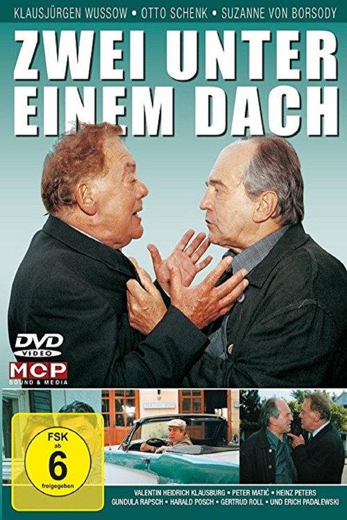 Zwei unter einem Dach 2001 official movie poster