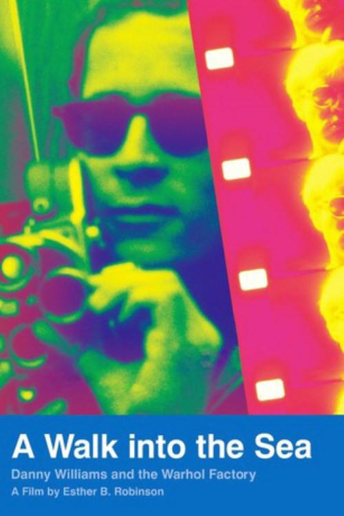 A Walk Into the Sea: Danny Williams and the Warhol Factory 2007 official movie poster