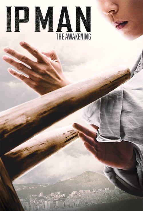 Ip Man: The Awakening 2021 official movie poster