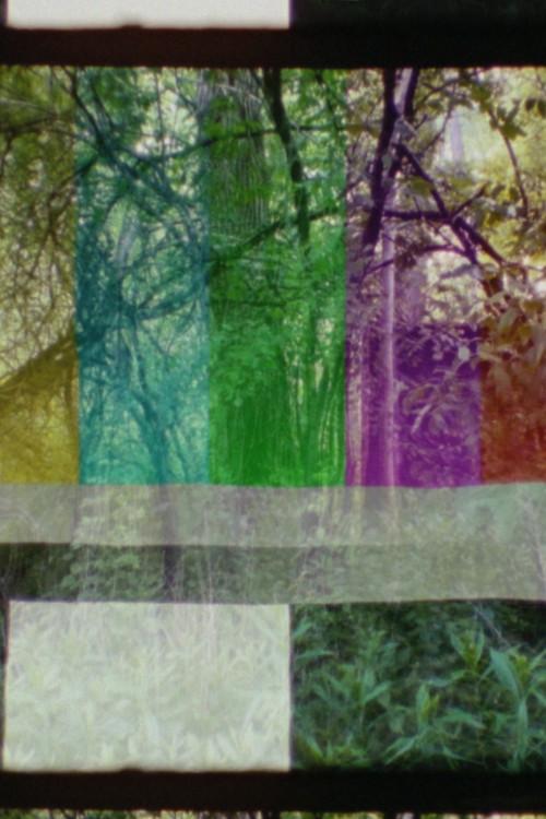 SMPTE FOREST 2023 official movie poster