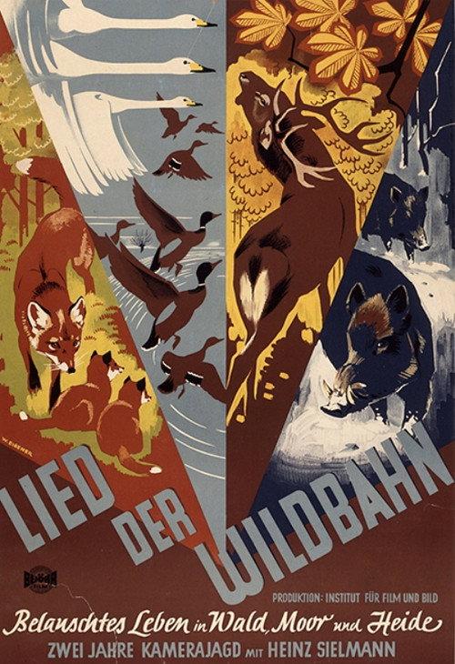 Lied der Wildbahn 1950 official movie poster