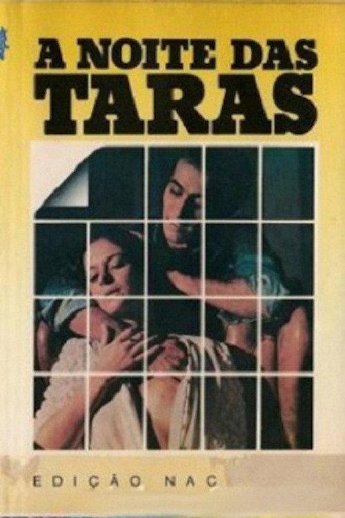 Night at the Terrace 1980 official movie poster