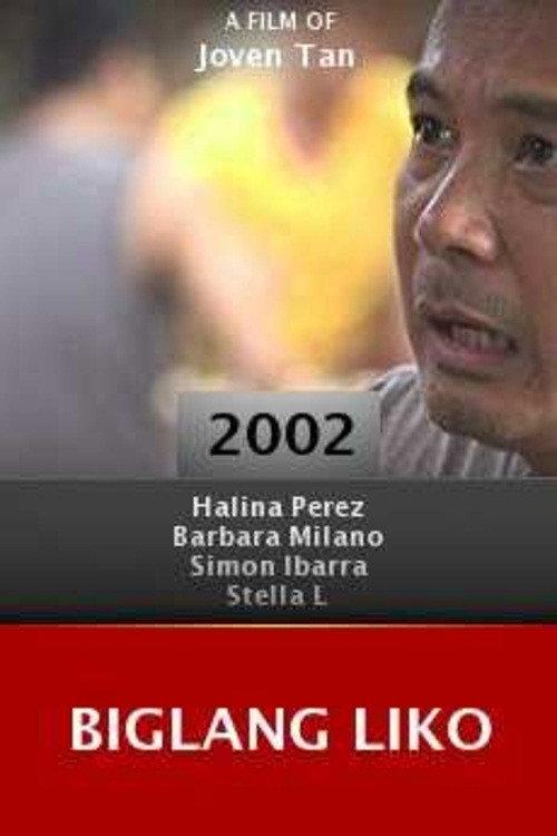 Biglang liko 2002 official movie poster