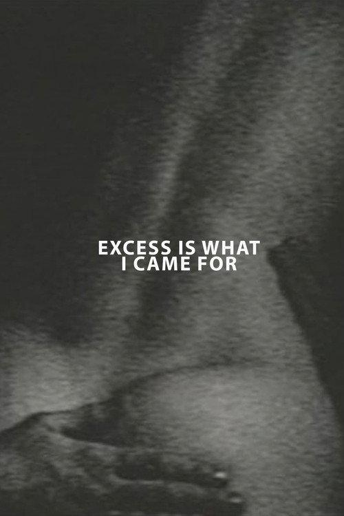 Excess Is What I Came For 1994 official movie poster