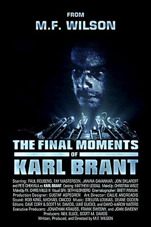 The Final Moments of Karl Brant 2013 official movie poster