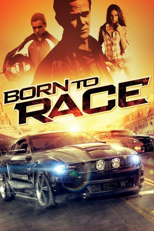 Born to Race 2011 official movie poster