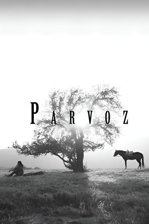 Parvoz 2023 official movie poster