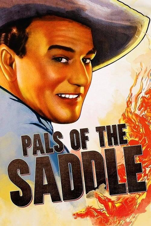 Pals of the Saddle 1938 official movie poster