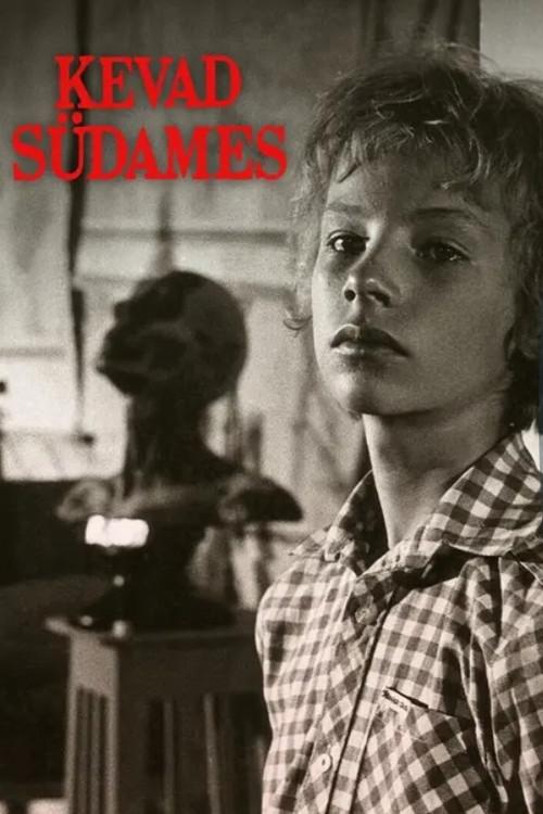 Spring at Heart 1985 official movie poster