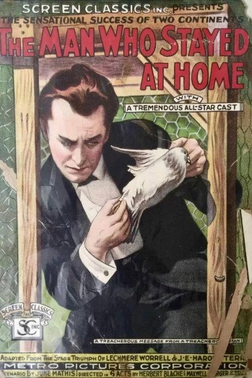 The Man Who Stayed at Home 1919 official movie poster