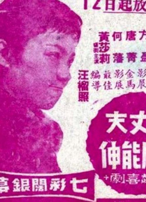 What's Good for a Goose 1970 official movie poster