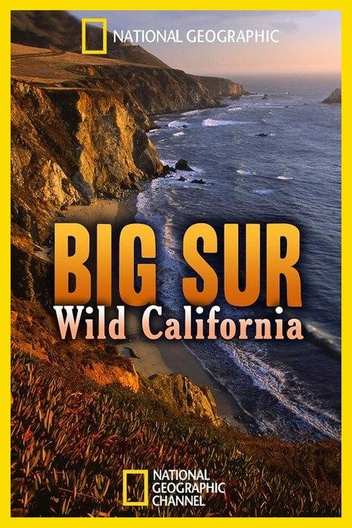 Big Sur: Wild California 2010 official movie poster
