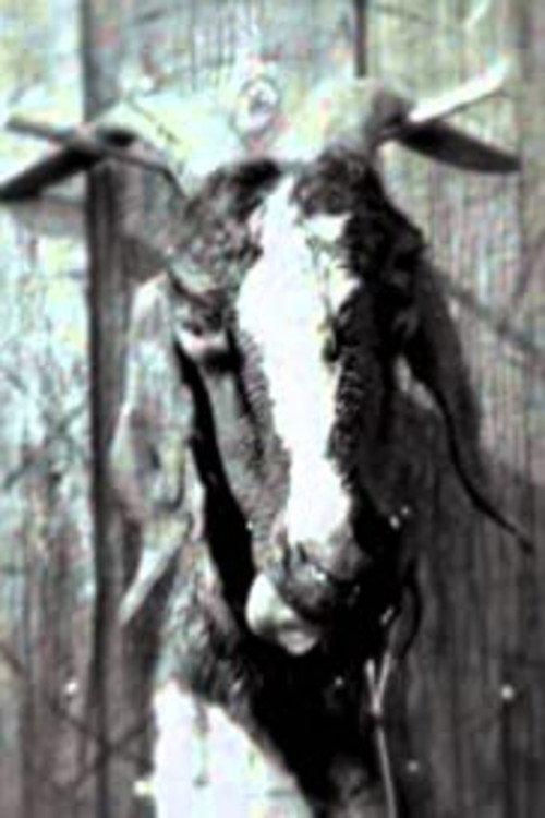 Slipknot: Goat 2011 official movie poster