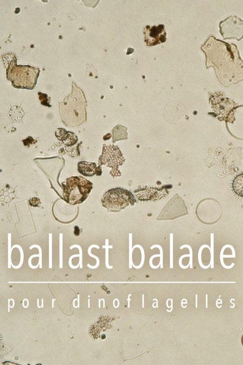 Ballast Stowaways Dinoflagellates 2019 official movie poster
