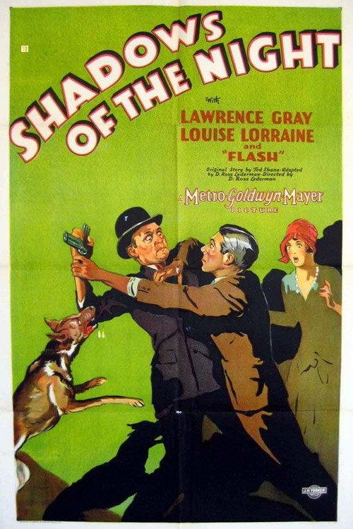 Shadows of the Night 1928 official movie poster