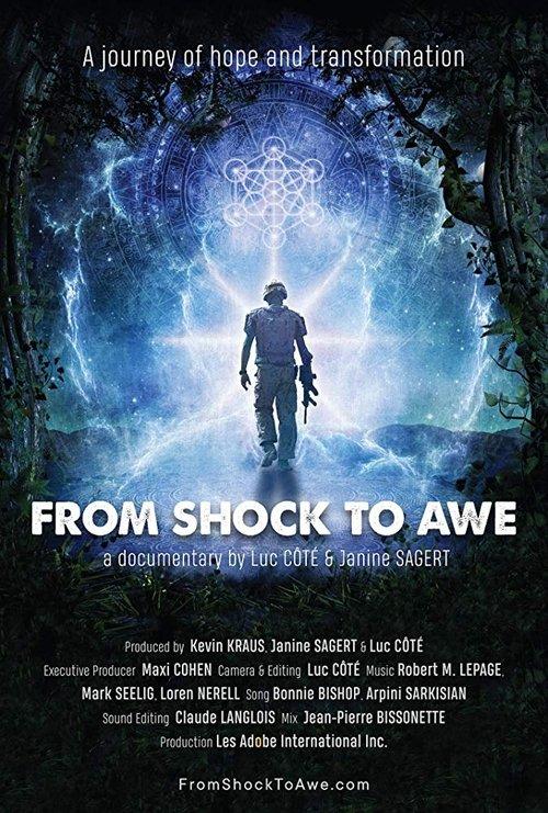 From Shock to Awe 2018 official movie poster