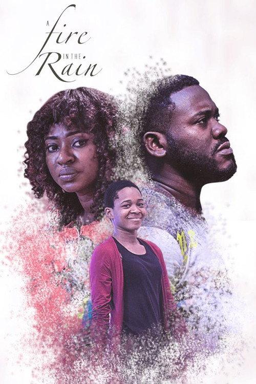 A Fire In The Rain 2017 official movie poster