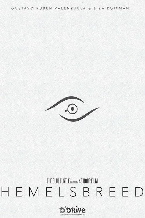 Hemelsbreed 2017 official movie poster