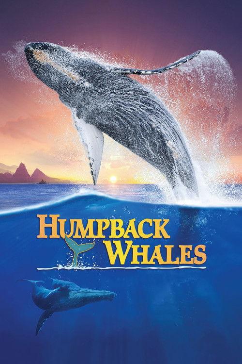 Humpback Whales 2015 official movie poster