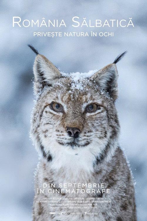 Wild Romania 2021 official movie poster