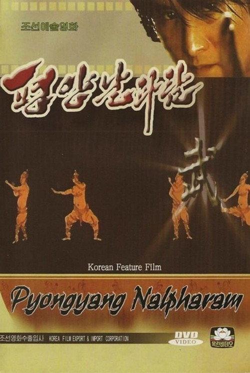 Pyongyang Nalpharam 2006 official movie poster