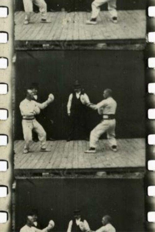 A French Boxing Contest 1896 official movie poster