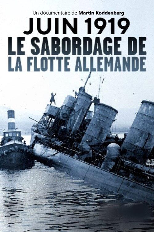 Dreadnought Destruction: Sinking the German High Seas Fleet 2020 official movie poster