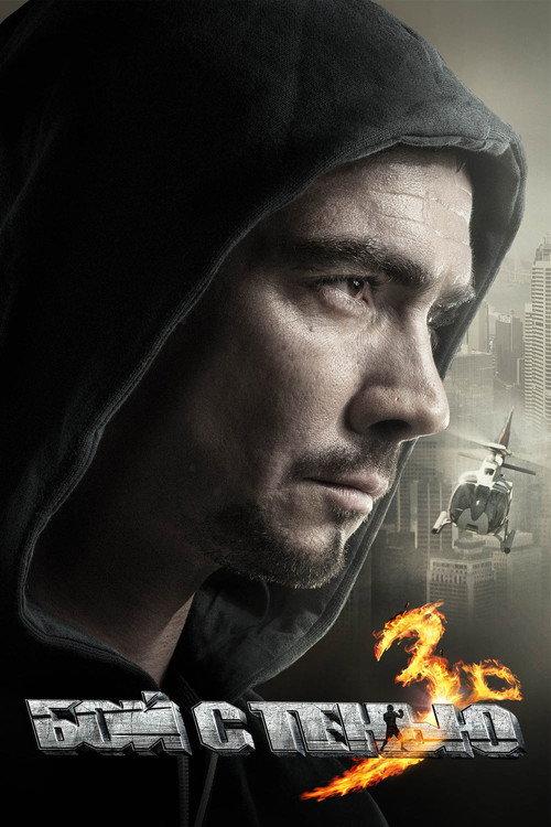 Shadow Boxing 3. The Final Round 2011 official movie poster