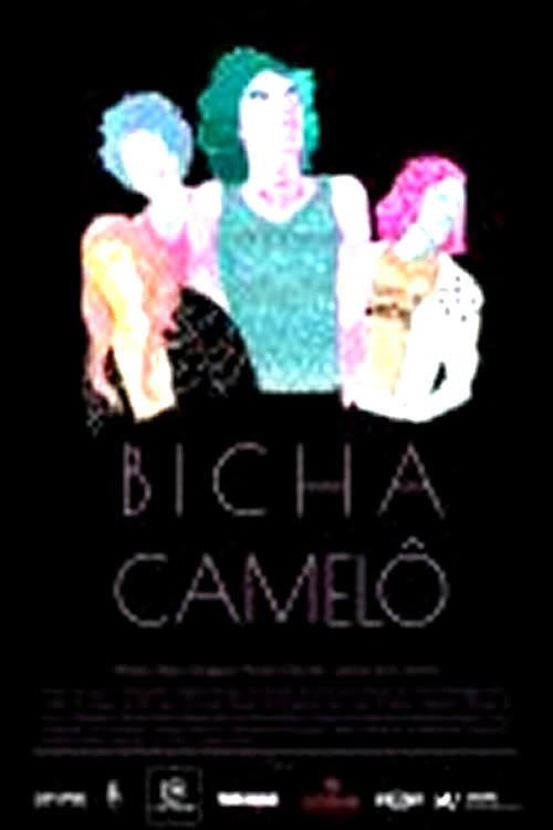 Bicha Camelô 2017 official movie poster