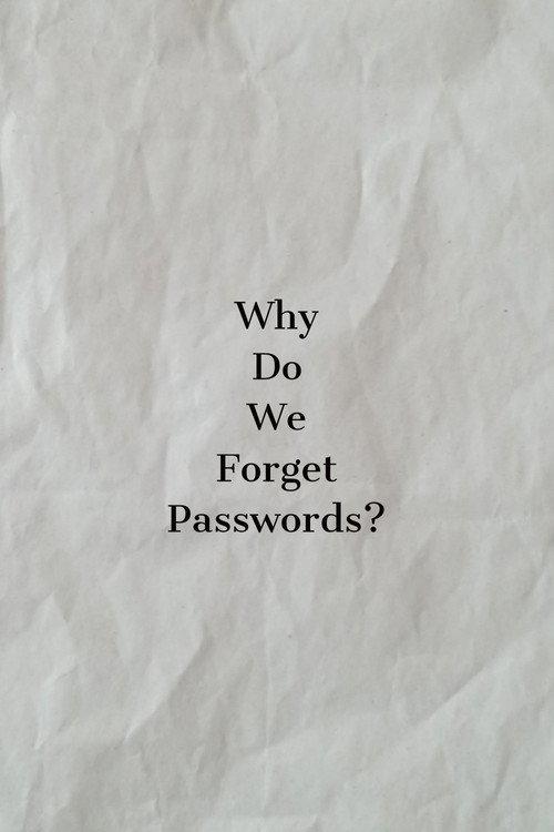Why Do We Forget Passwords? 2023 official movie poster