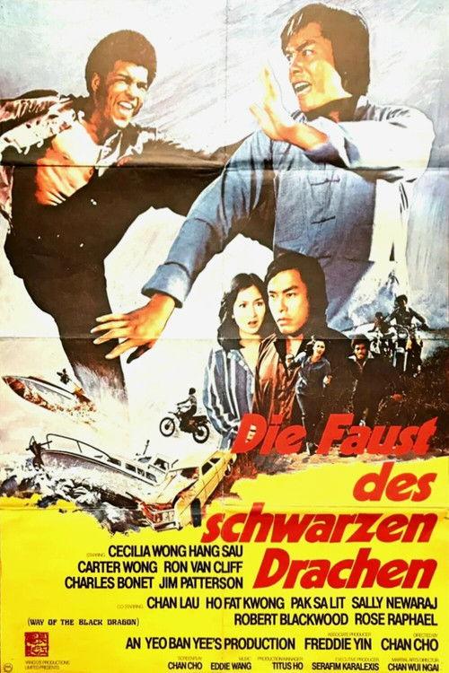 Way of the Black Dragon 1978 official movie poster