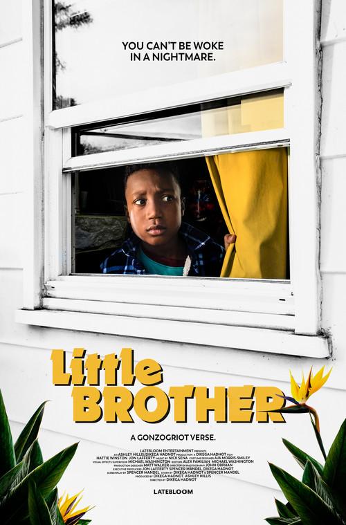 Little Brother 2020 official movie poster
