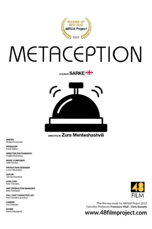 Metaception 2015 official movie poster