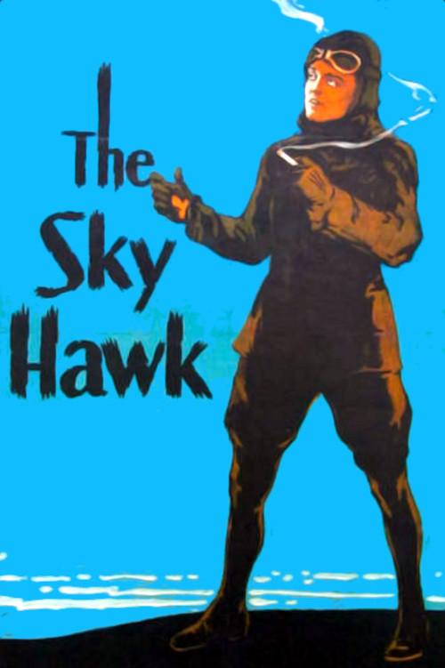 The Sky Hawk 1929 official movie poster