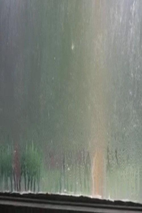 Fogged Windows 2013 official movie poster
