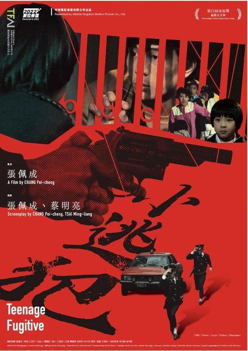 Teenage Fugitive 1984 official movie poster