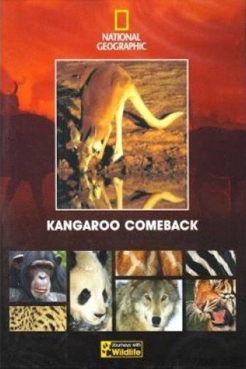 Kangaroo Comeback 1998 official movie poster