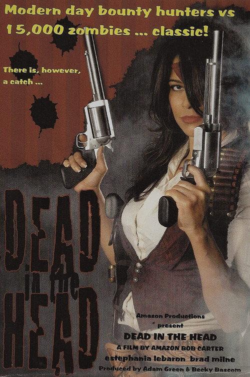 Dead in the Head official movie poster