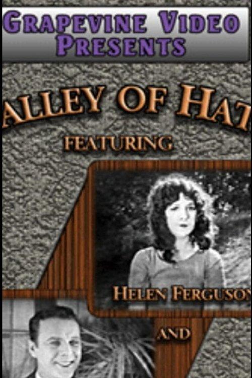 Valley of Hate 1924 official movie poster